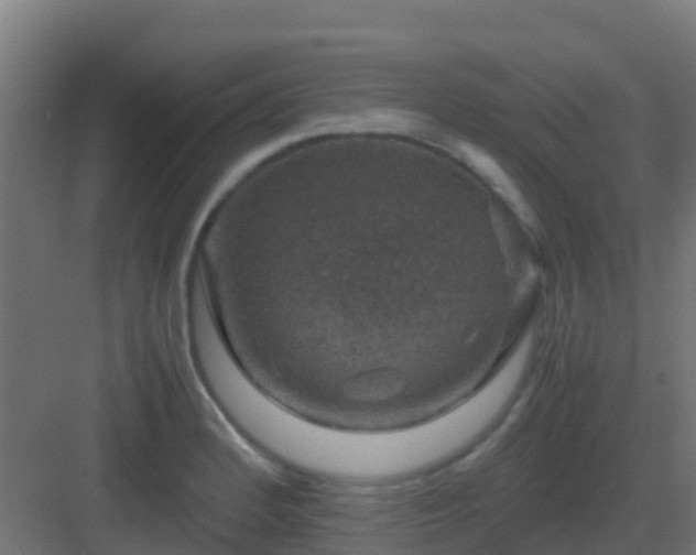 X0000082991184200702081826