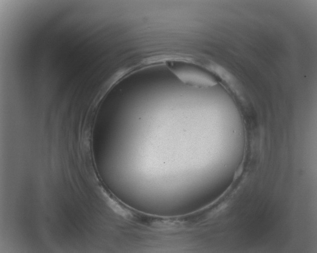 X0000082991185200702081826