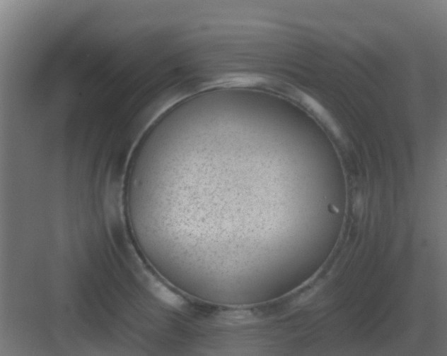 X0000082991186200702081826