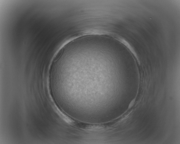 X0000082991187200702081826