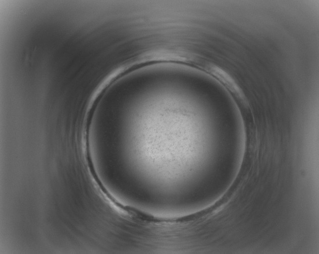 X0000082991188200702081826