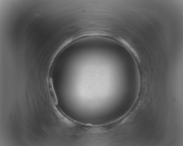 X0000082991189200702081826