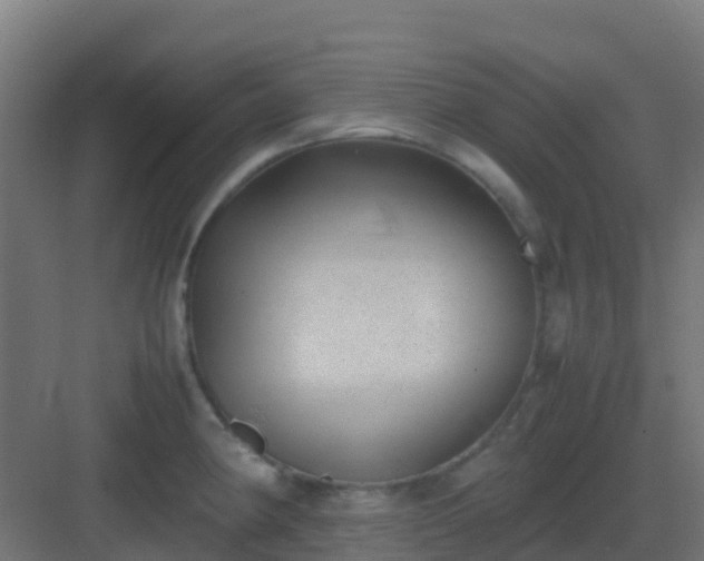 X0000082991190200702081826