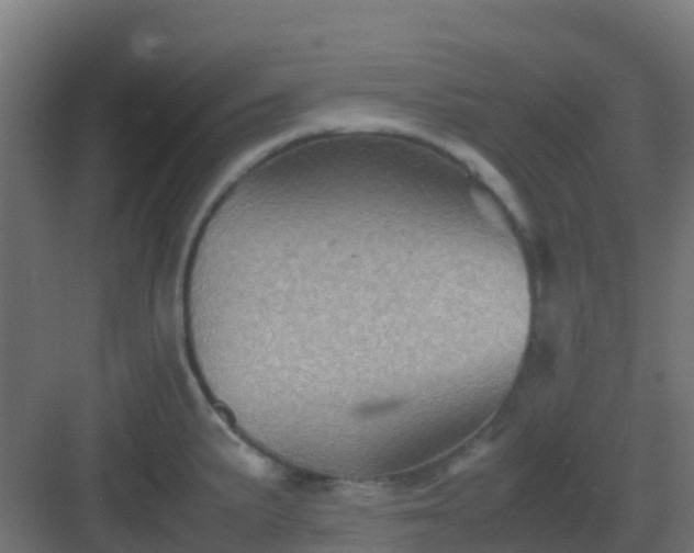 X0000082991191200702081826