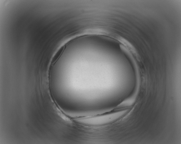 X0000082991192200702081826