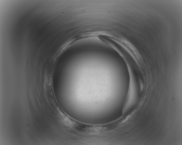 X0000082991193200702081826