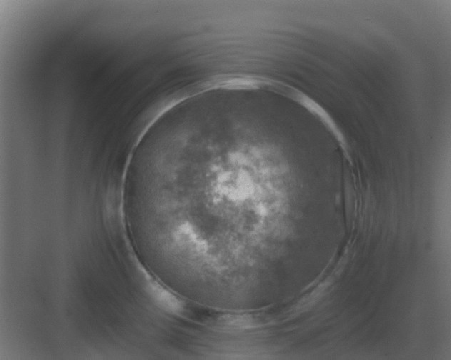 X0000082991194200702081826