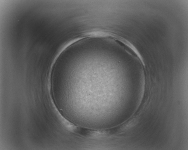 X0000082991195200702081826