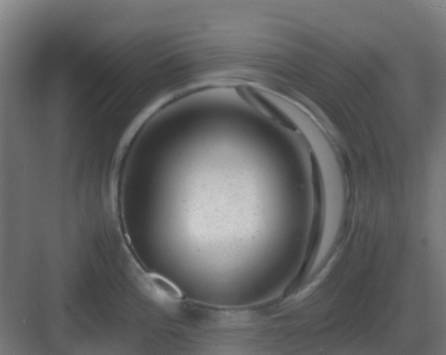 X0000082991196200702081826