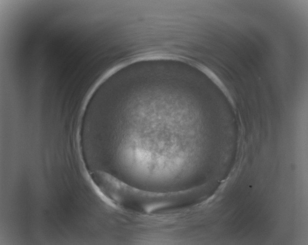 X0000082991197200702081826