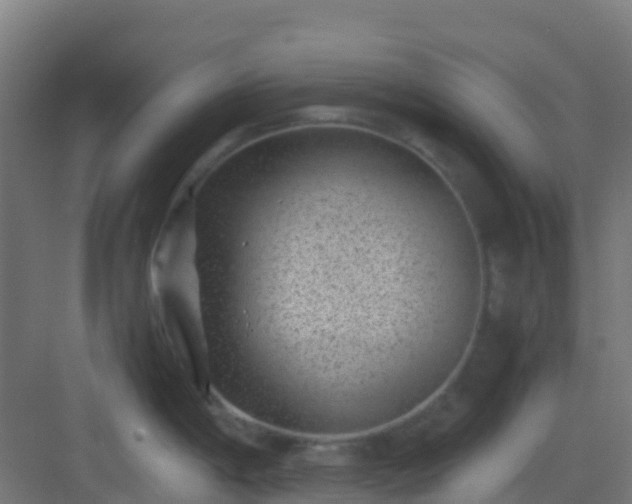 X0000082991198200702081826