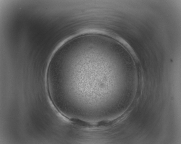 X0000082991199200702081826