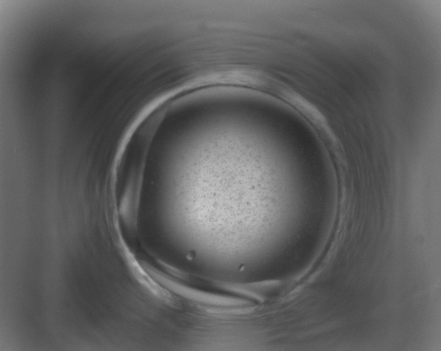 X0000082991200200702081826