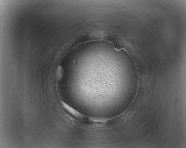 X0000082991201200702081825