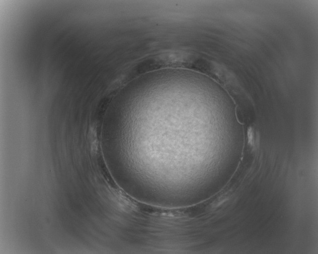 X0000082991203200702081825