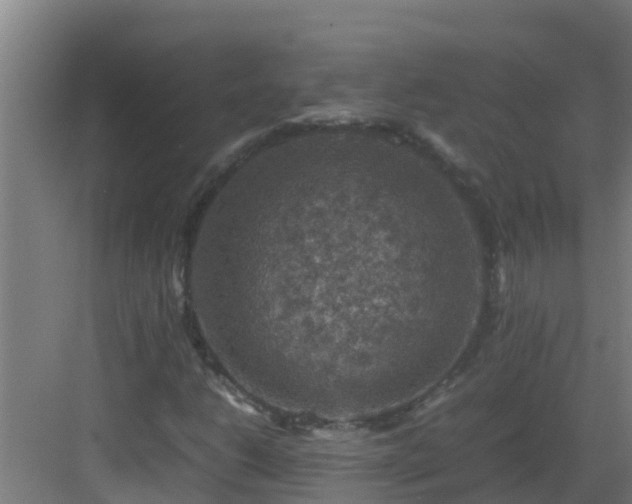 X0000082991206200702081825