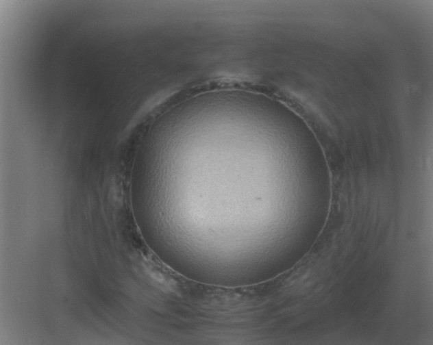 X0000082991207200702081825