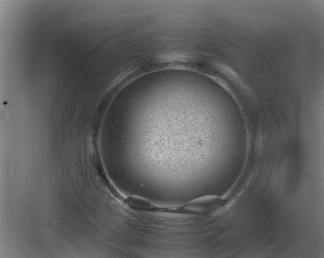 X0000082991209200702081825