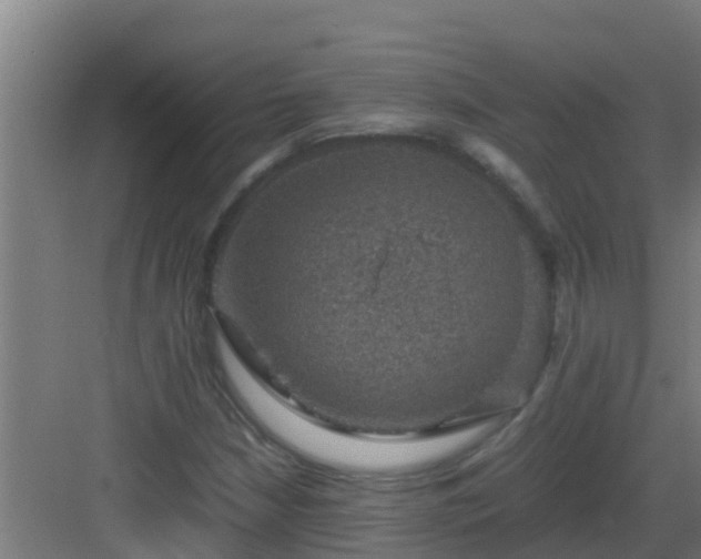 X0000082991210200702081825