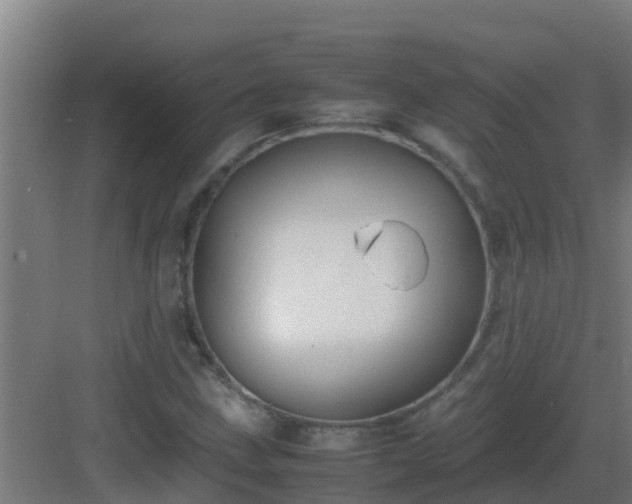 X0000082991211200702081825