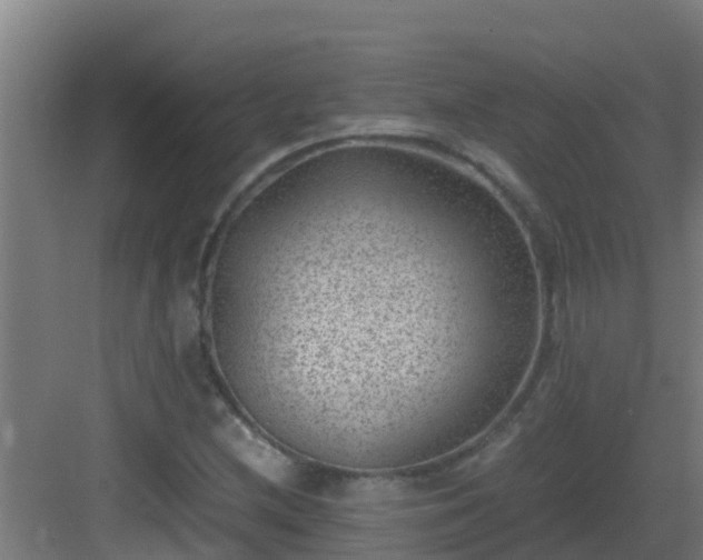 X0000082991212200702081825