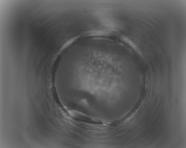 X0000082991213200702081825