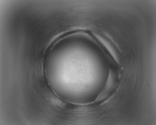 X0000082991214200702081825