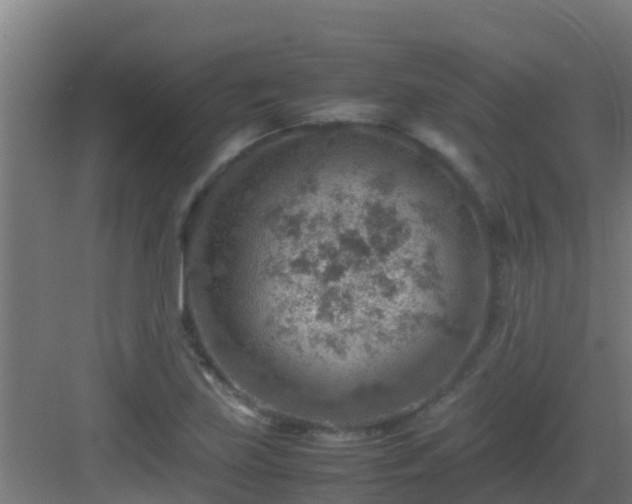 X0000082991219200702081825