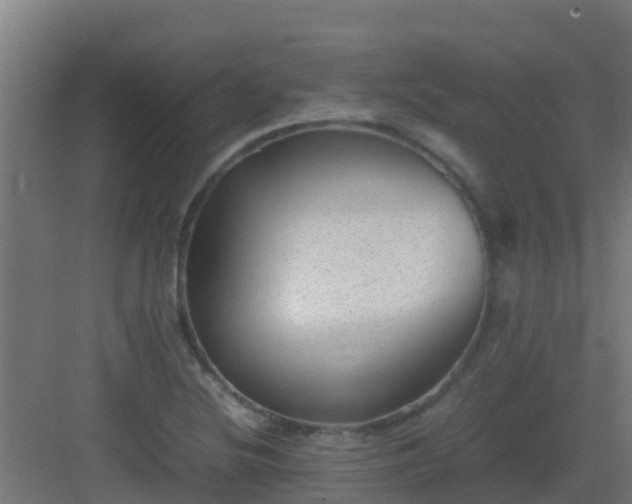 X0000082991220200702081825