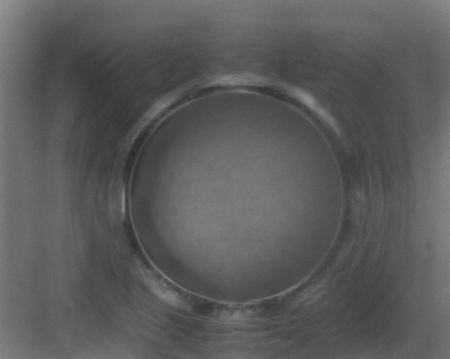 X0000082991221200702081825