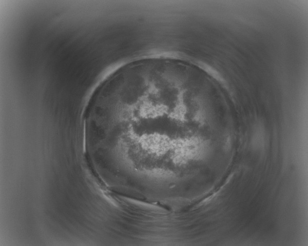 X0000082991223200702081825