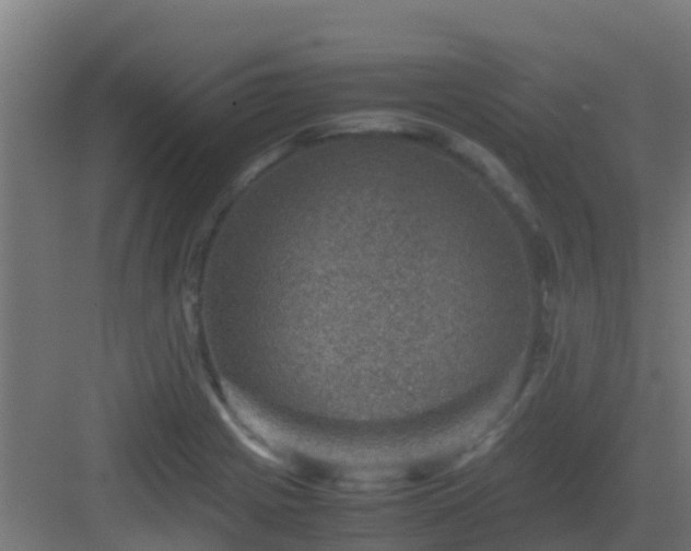 X0000082991225200702081826