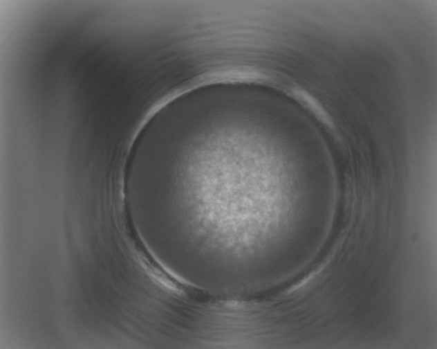 X0000082991226200702081826