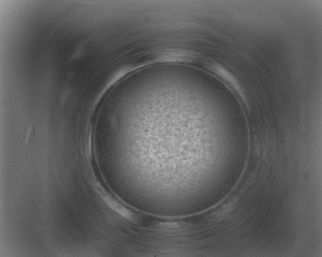 X0000082991227200702081826