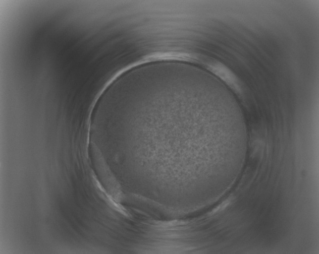 X0000082991228200702081826