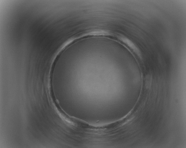 X0000082991229200702081826