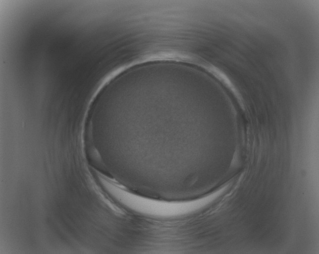 X0000082991230200702081826