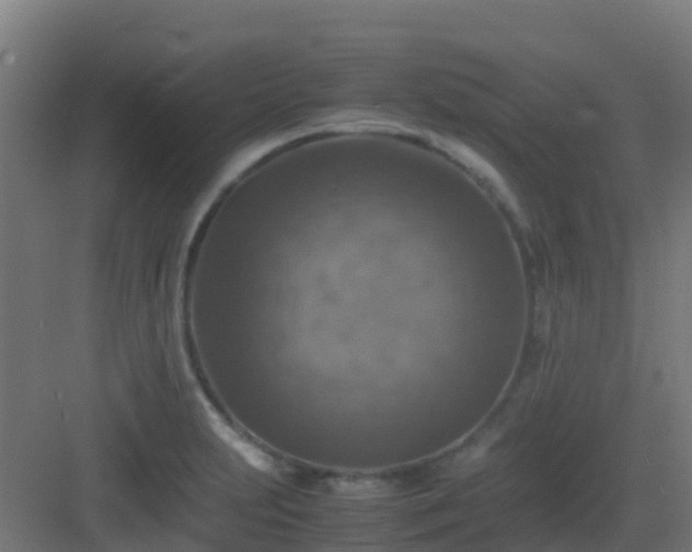 X0000082991231200702081826