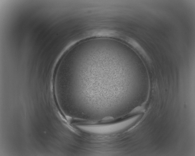 X0000082991232200702081826