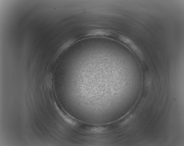 X0000082991233200702081826