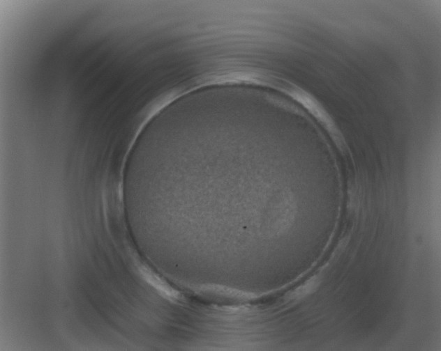 X0000082991234200702081826