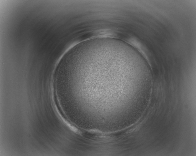 X0000082991235200702081826