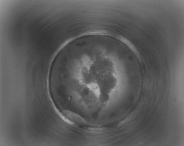 X0000082991237200702081826