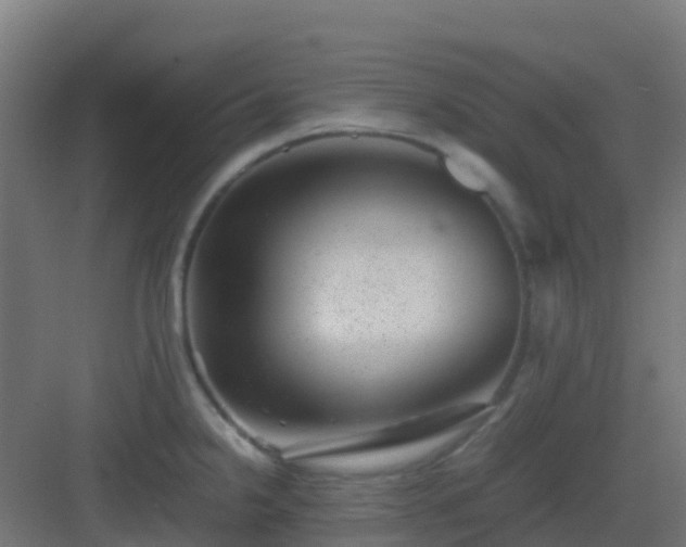 X0000082991238200702081826