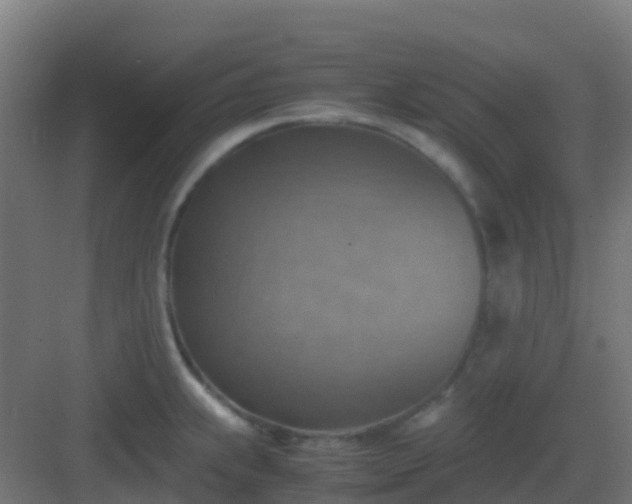 X0000082991239200702081826