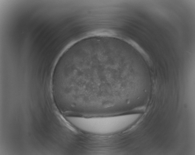 X0000082991240200702081826