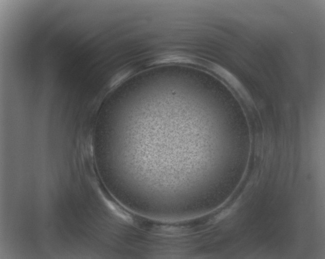 X0000082991241200702081826