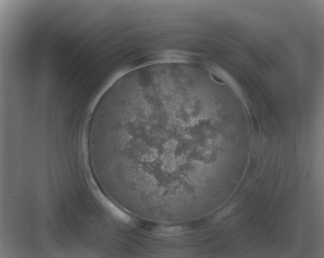 X0000082991243200702081826