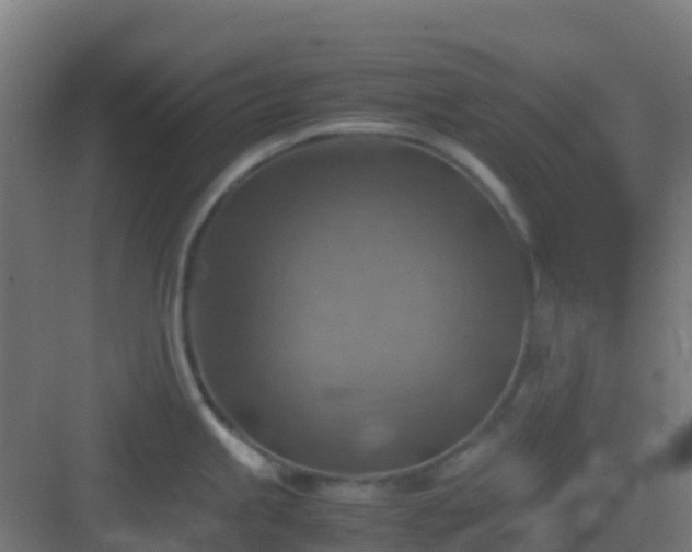 X0000082991245200702081826