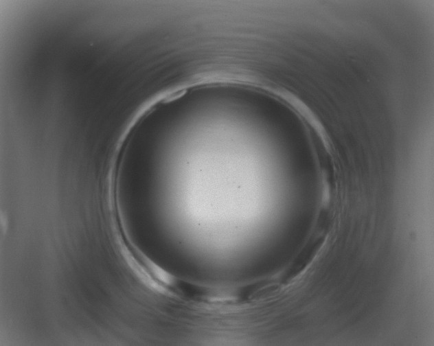 X0000082991246200702081826